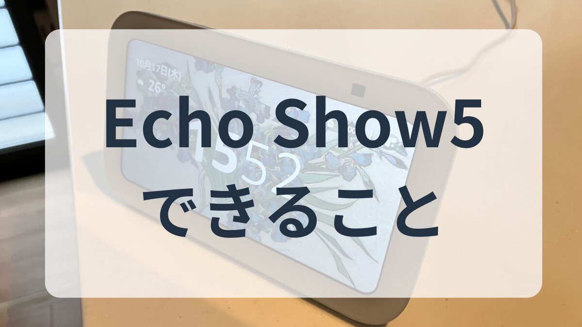 エコーショー５できること